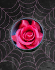 Bed of Roses Blush