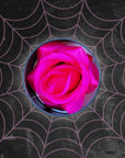 Bed of Roses Blush