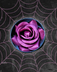 Bed of Roses Blush