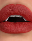 *NEW* Vicious Kisses Matte Liquid Lipsticks