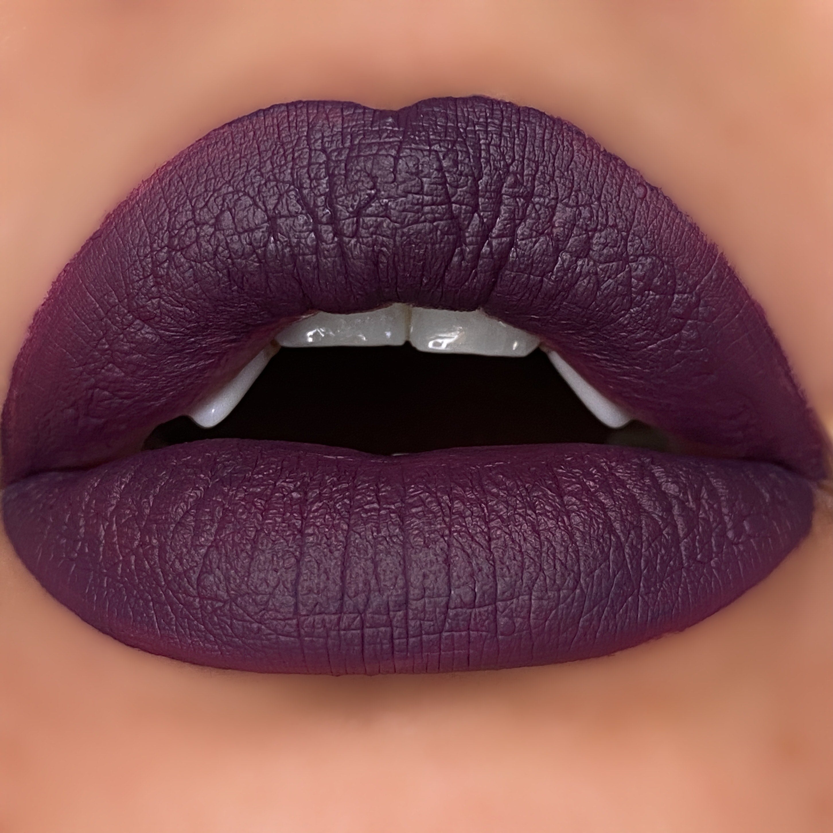 NEW* Vicious Kisses Matte Liquid Lipsticks – SinisterLovecosmetics