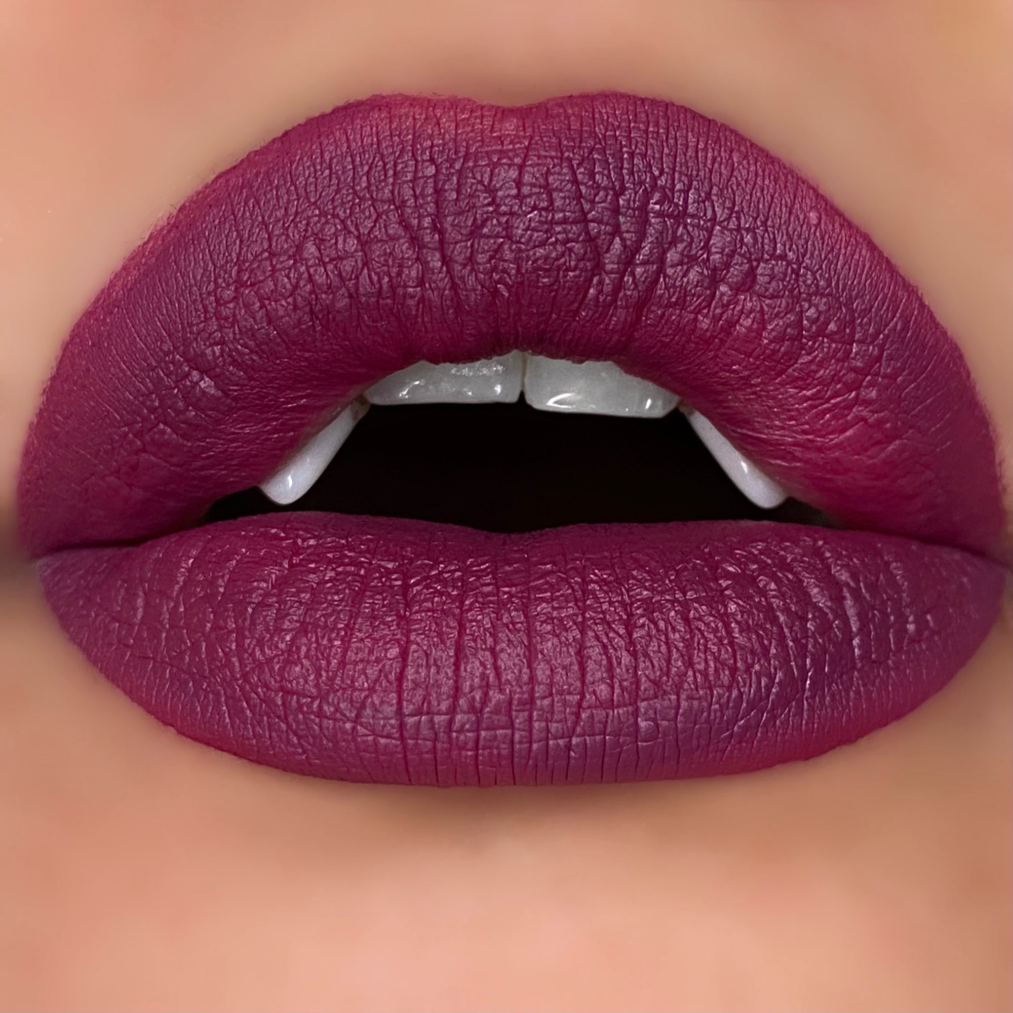 *NEW* Vicious Kisses Matte Liquid Lipsticks