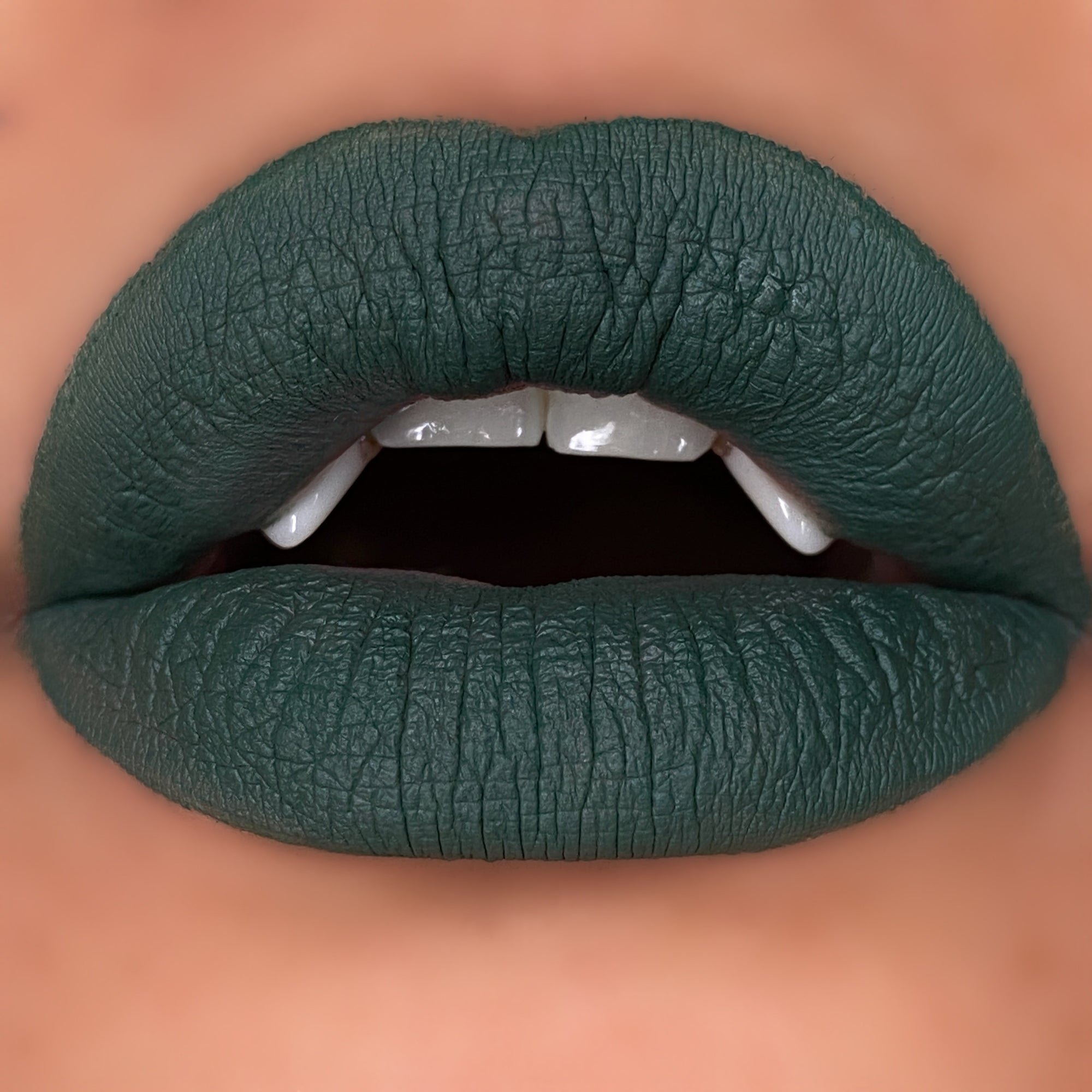 *NEW* Vicious Kisses Matte Liquid Lipsticks
