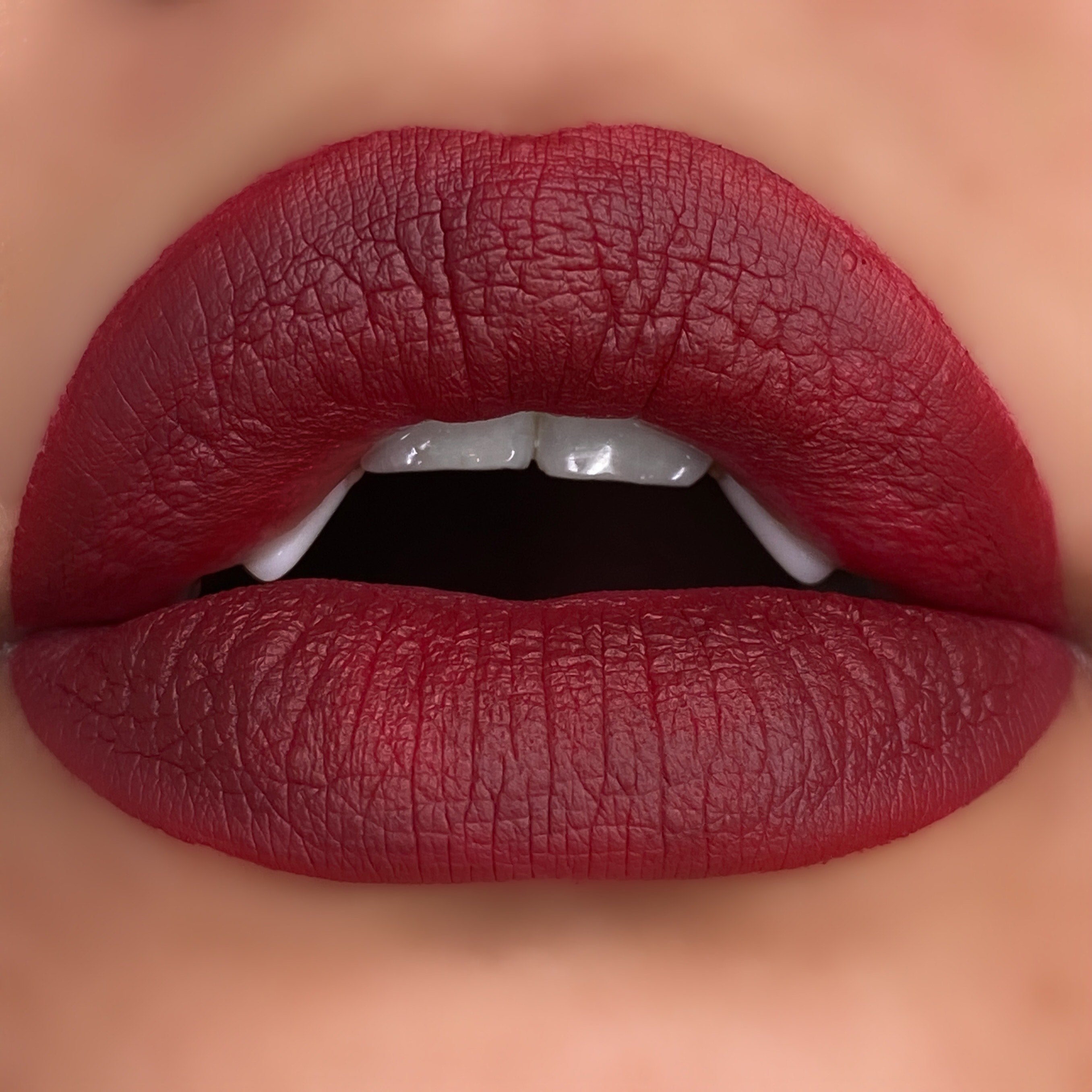 口紅 LIPS IN LOVE NEW* Vicious Kisses Matte Liquid Lipsticks – SinisterLovecosmetics