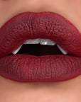 *NEW* Vicious Kisses Matte Liquid Lipsticks