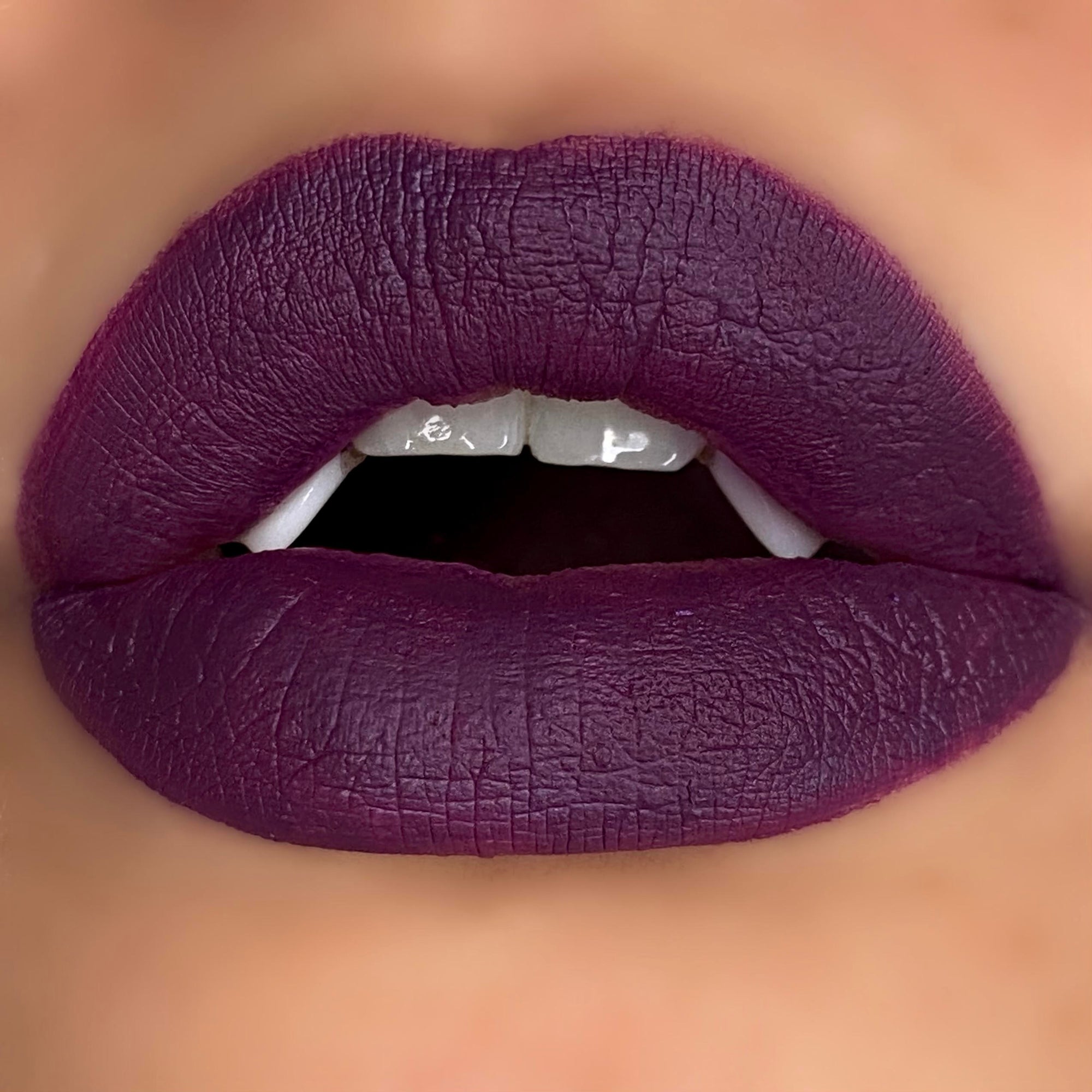 Vicious Kisses Liquid Lipsticks