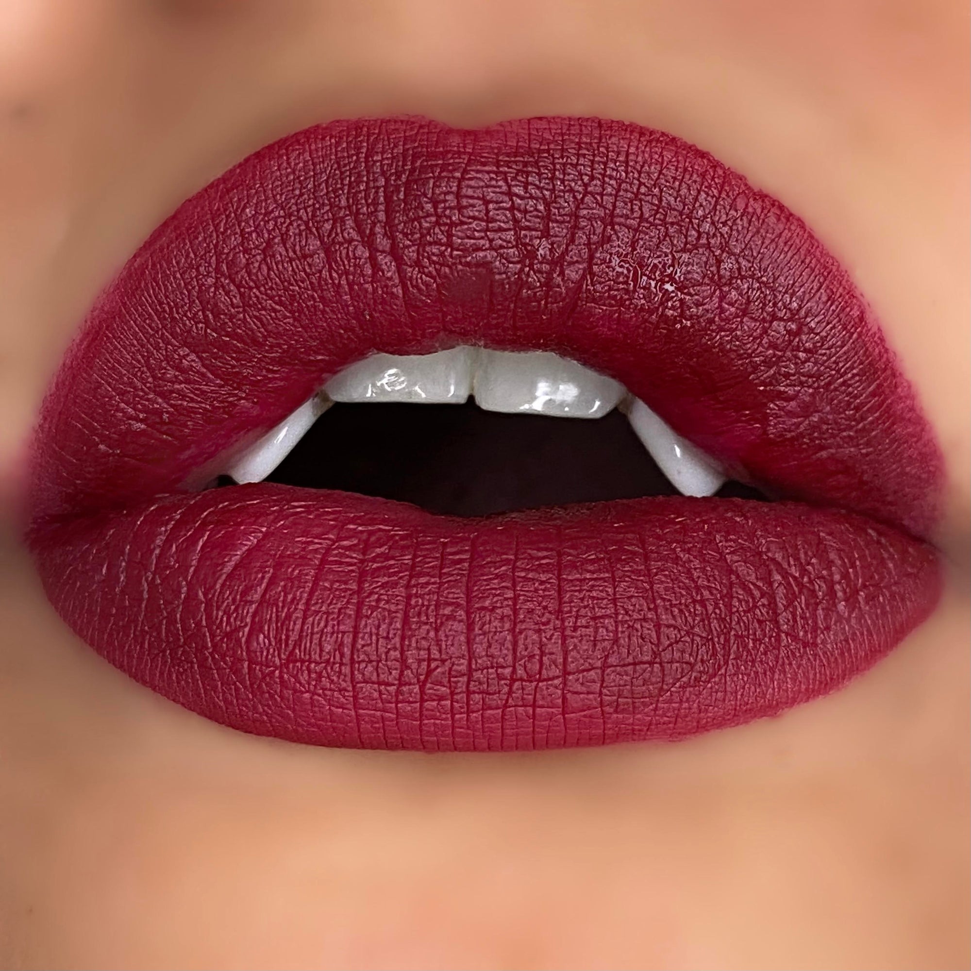 Vicious Kisses Liquid Lipsticks